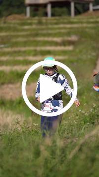 BIB:  <button type="button" onclick="openModal(26786986)" class="btn btn-primary btn-sm float-right" data-toggle="modal" data-target=".modal-high-quality">
                <i class="fa fa-download"></i> Download
                </button>